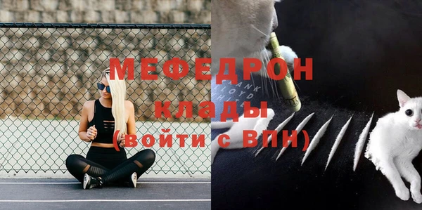 гашик Арсеньев