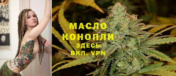 гашик Арсеньев