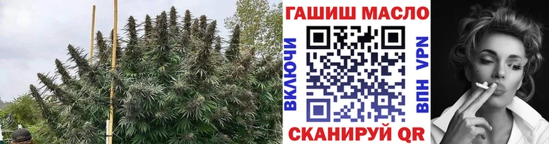 ТГК вейп с тгк  дарк нет как зайти  Тайга 