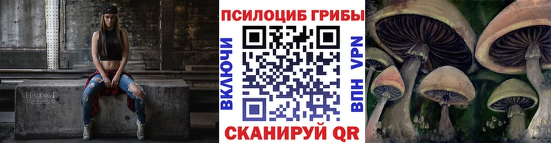 наркота  Тайга  нарко площадка телеграм  Псилоцибиновые грибы Psilocybine cubensis 