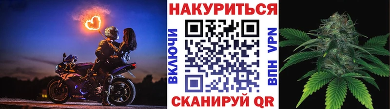 купить  цена  Тайга  Конопля семена 